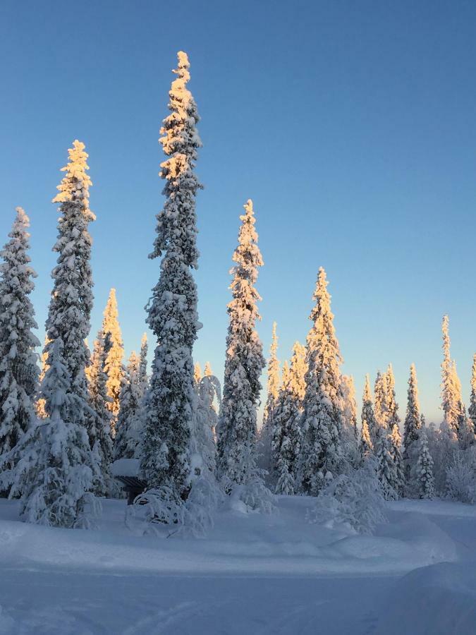 Villa Karhuntaehti Luosto Eksteriør bilde